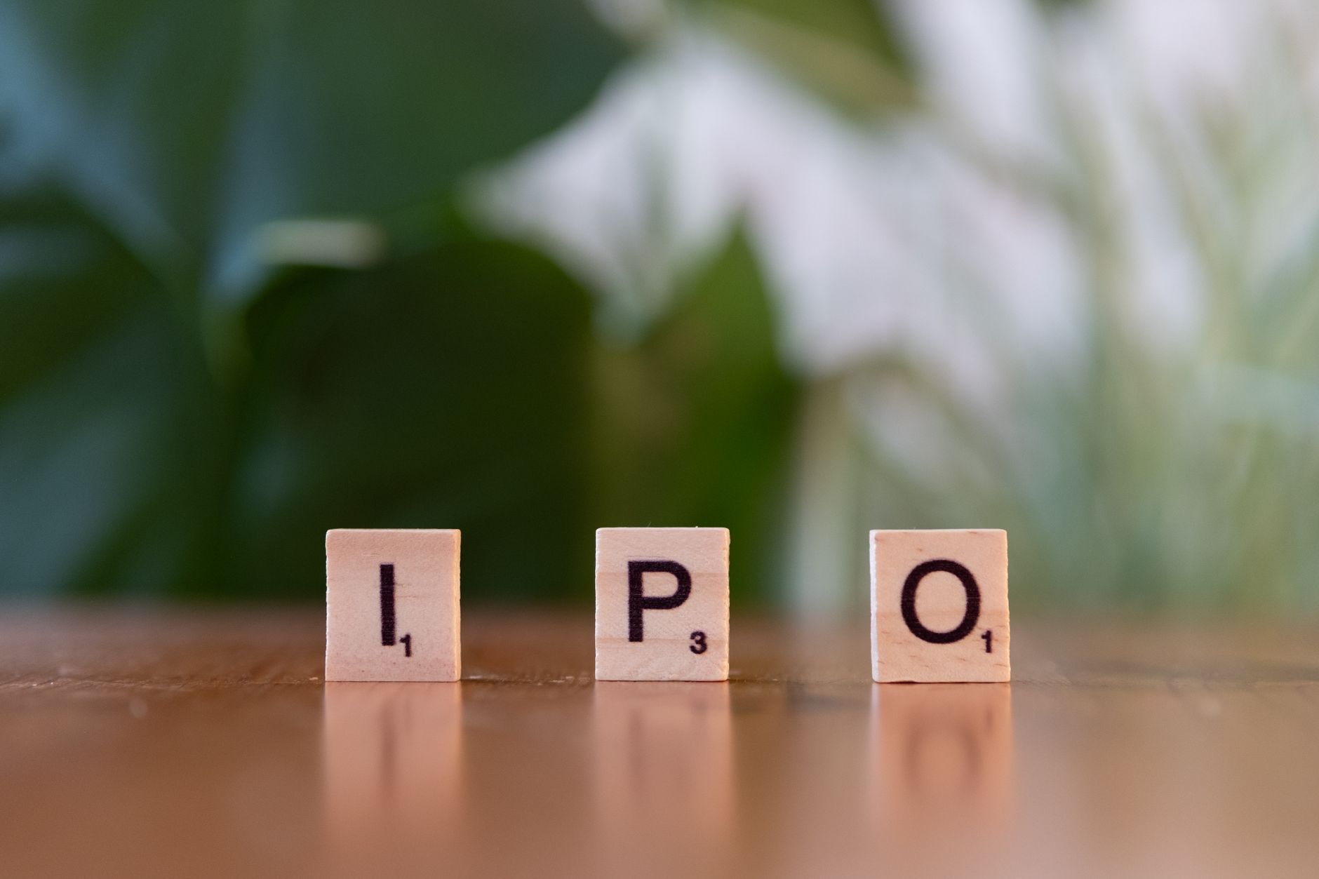 Paluck Technologies IPO